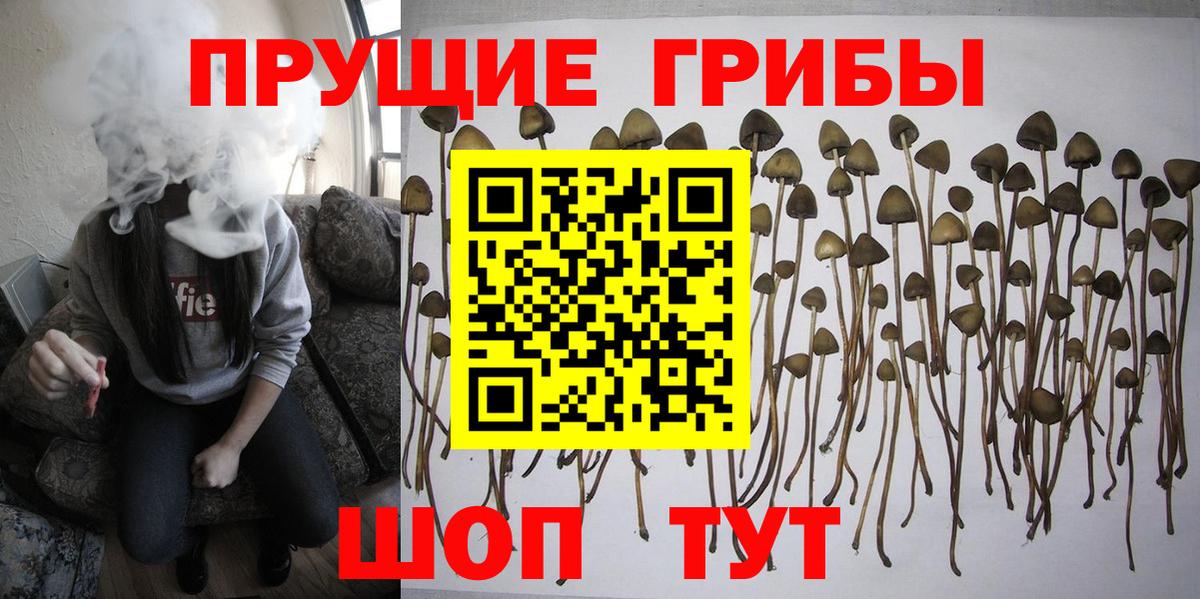 Фролово  Галлюциногенные грибы прущие грибы  Вход с VPN  Галлюциногенные грибы MAGIC MUSHROOMS 