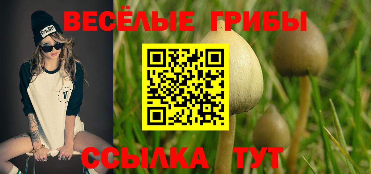 Галлюциногенные грибы мицелий Фролово